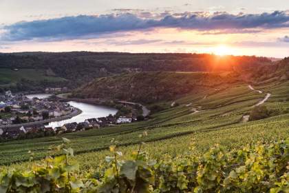 Vallée de la Moselle - Luxembourg - Villa Pétrusse